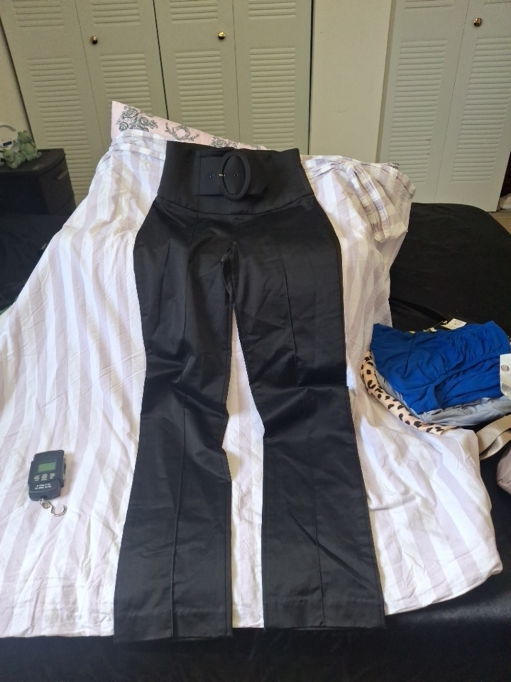 bebe Black High-Waist Flared Pants with Wide Belt